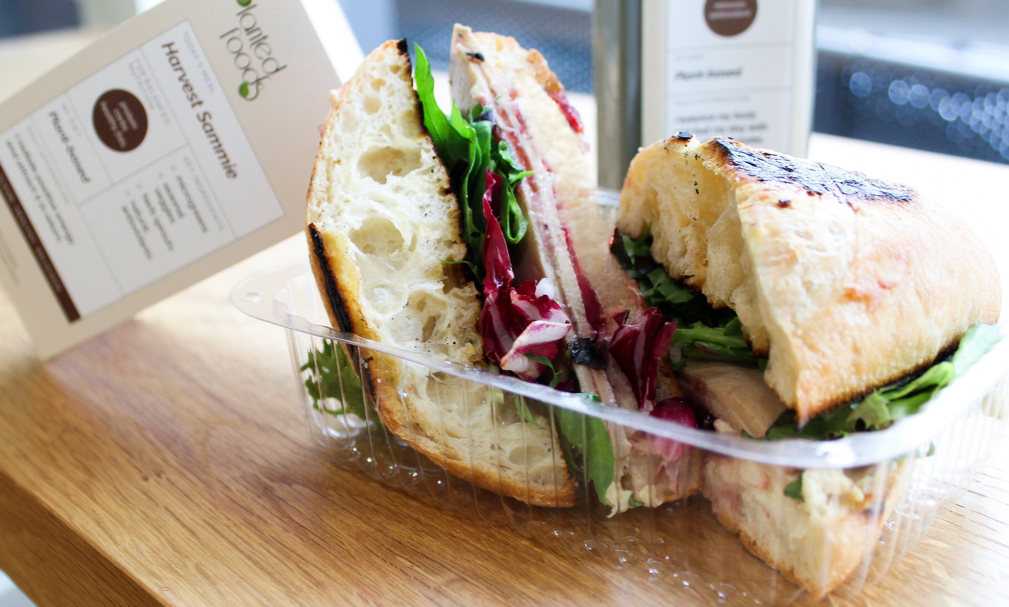 Fall Harvest Sammie